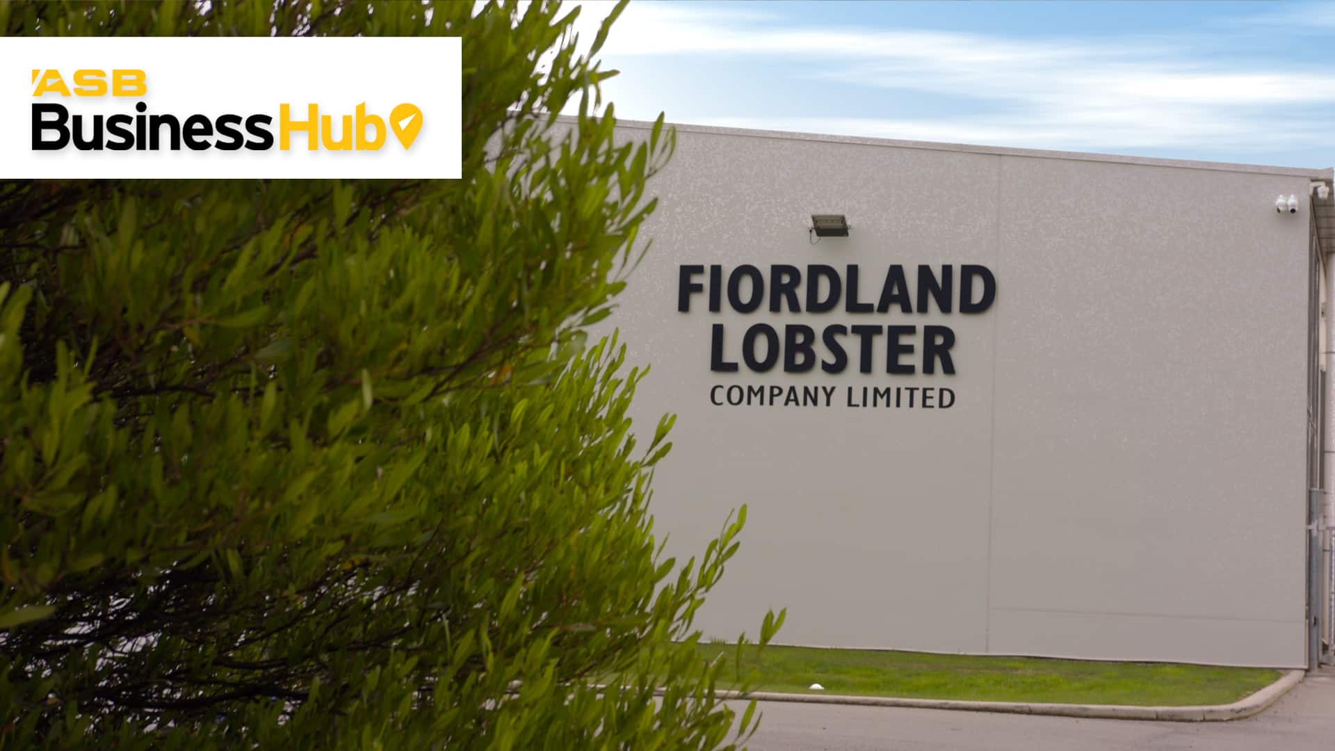 Sustainably Wild: Fiordland Lobster