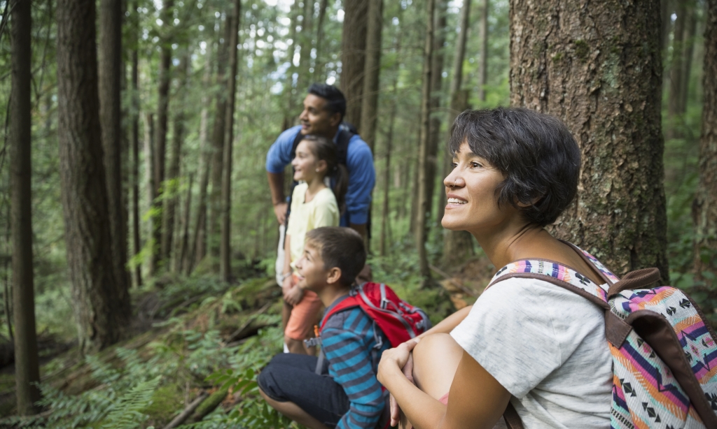 Moving to New Zealand What you need to know ASB