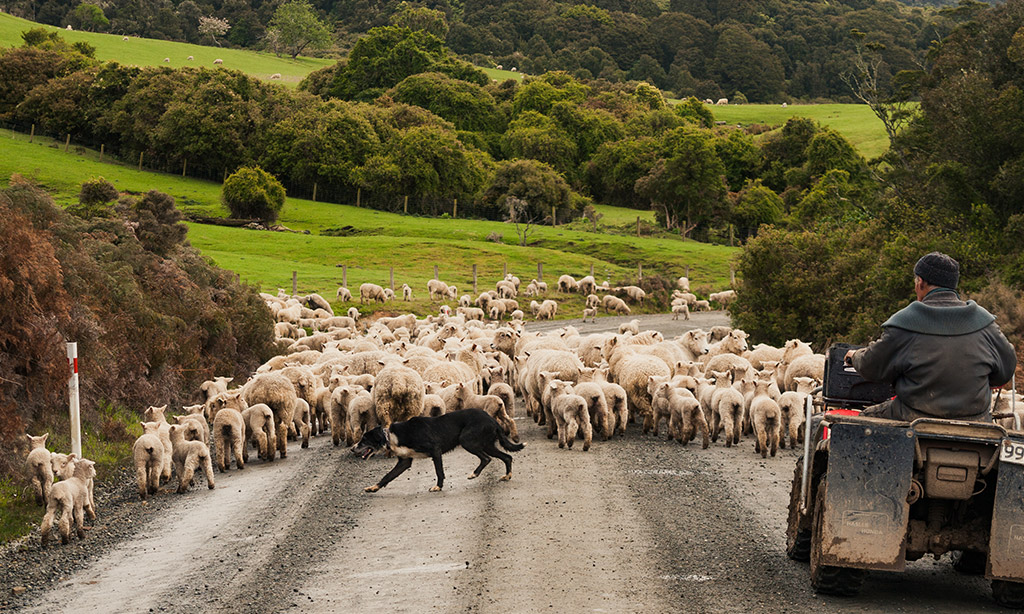 Asb Rural Rural Loan Report - Economic Research | ASB