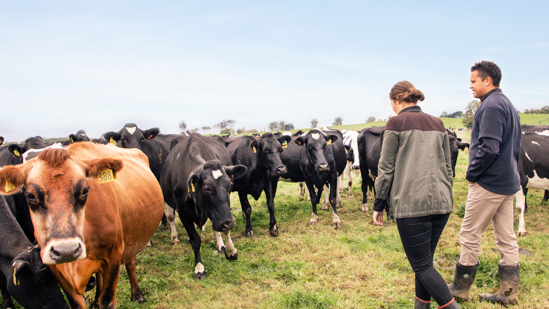 Starting a rural business Owning your own farm ASB