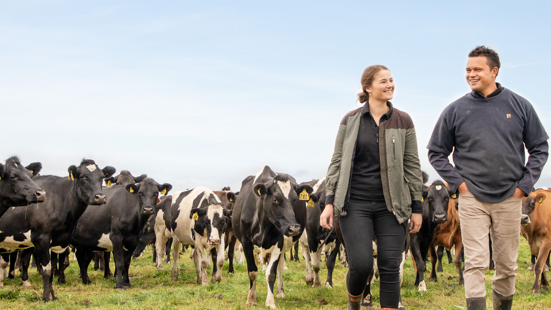 Growing your rural business How to expand your farm ASB