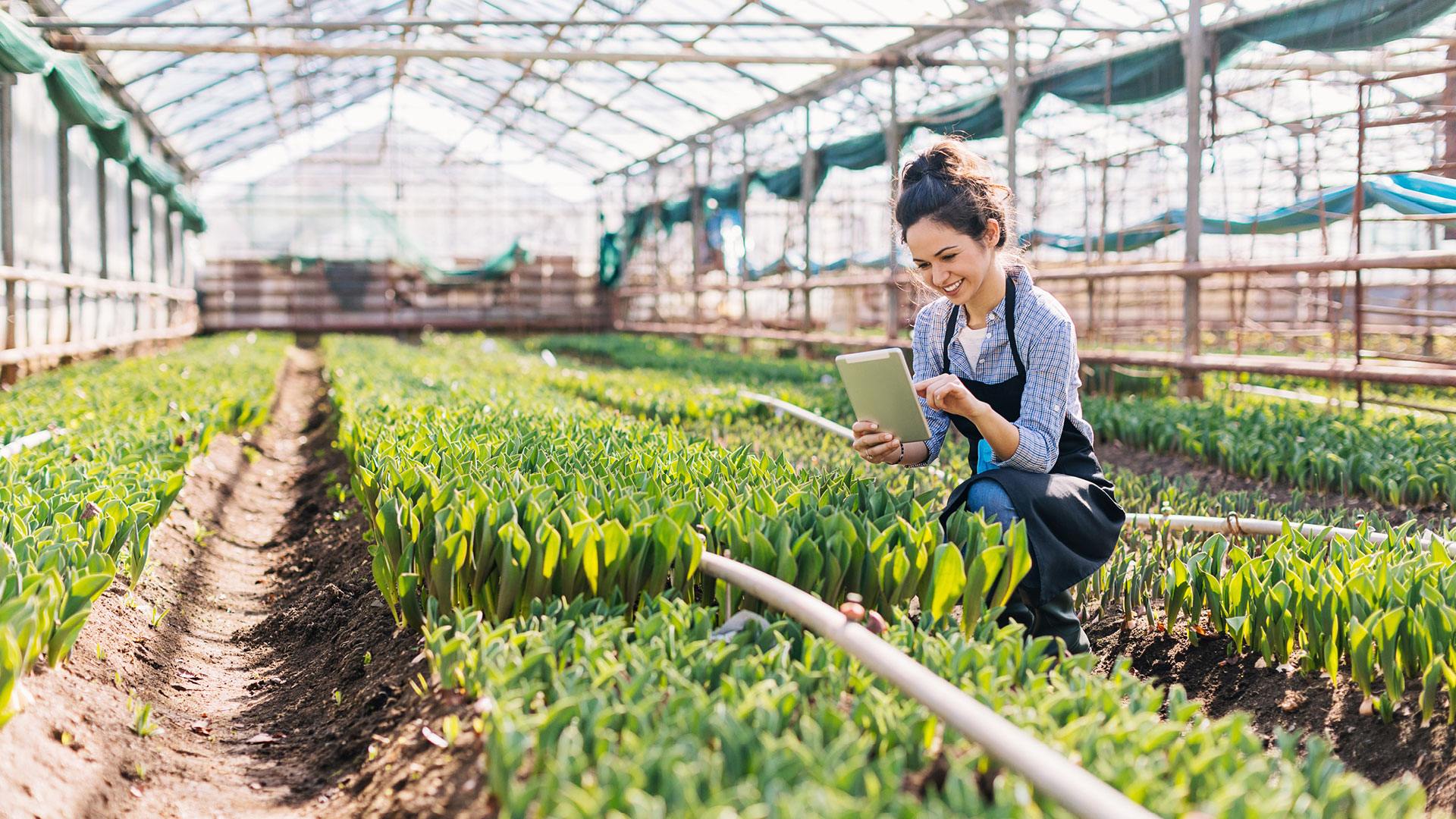 Asb Rural Managing rural cash flow - How to manage your farms cash flow | ASB